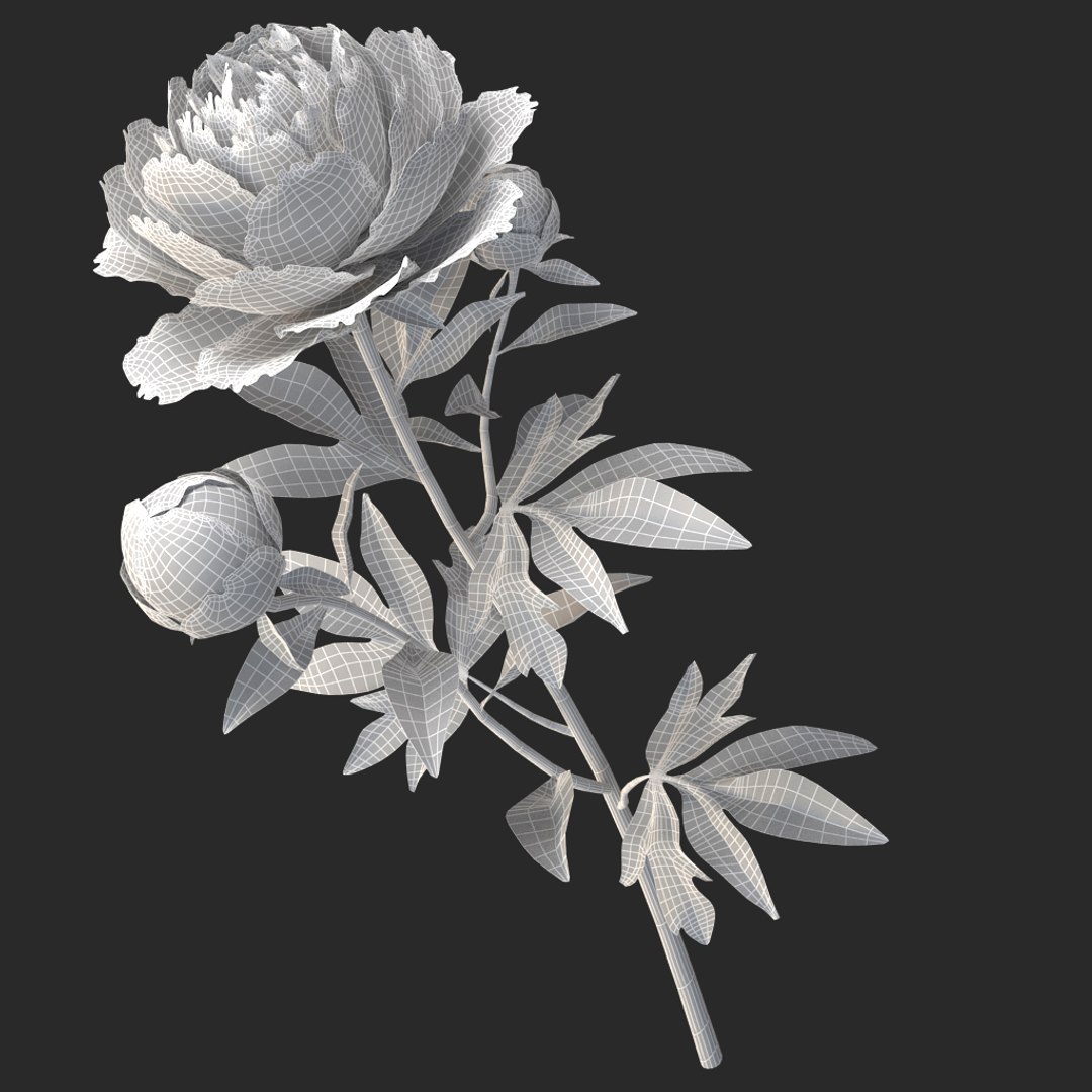 3D peony red v2 https://p.turbosquid.com/ts-thumb/gd/s5gLtI/g7v6ofyd/016/jpg/1497469226/1920x1080/fit_q87/45a31a20dd2664e51bbc0c60366ed5c8e13291bf/016.jpg