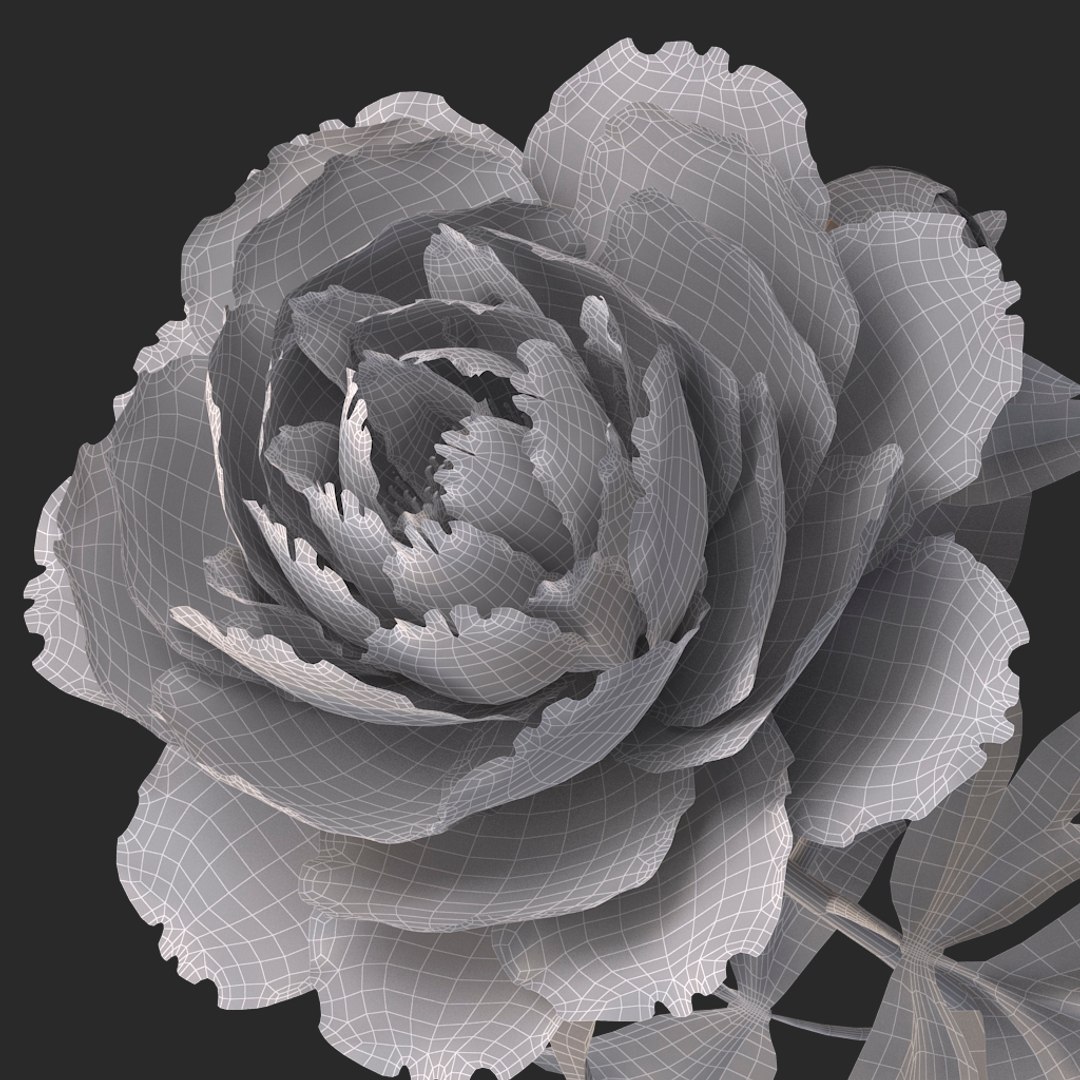 3D peony red v2 https://p.turbosquid.com/ts-thumb/gd/s5gLtI/rTeXQfoI/018/jpg/1497469226/1920x1080/fit_q87/642789632887539228d3f167a5aaec1baf56b545/018.jpg