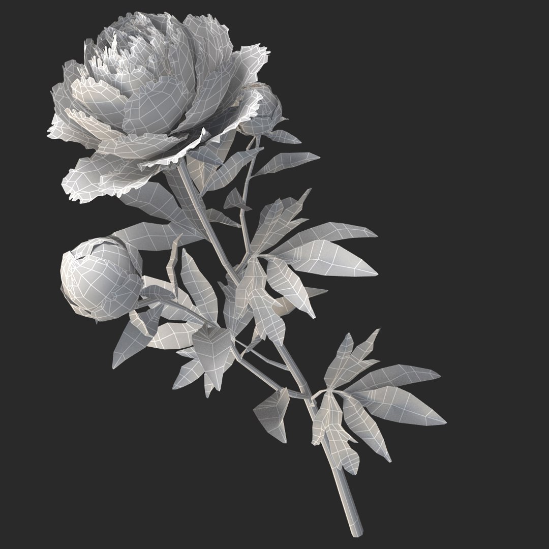 3D peony red v2 https://p.turbosquid.com/ts-thumb/gd/s5gLtI/tHeZzI7a/014/jpg/1497469226/1920x1080/fit_q87/ba1fad0ea721baf3076b974729ff9adb77c86967/014.jpg