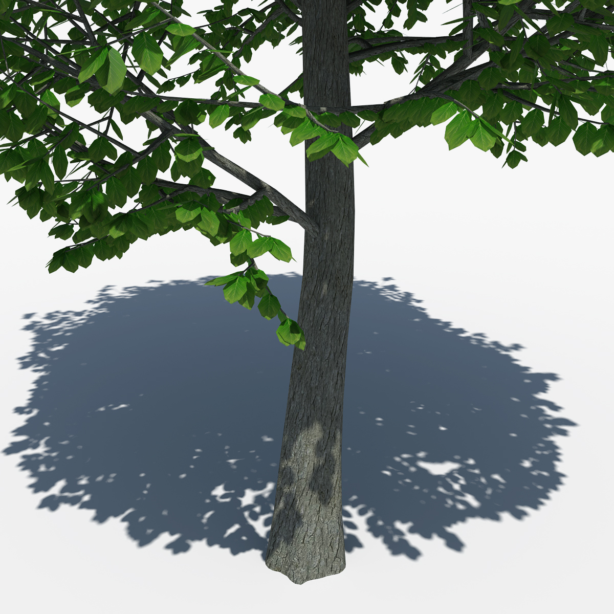 free obj model tree