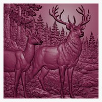 Deer
