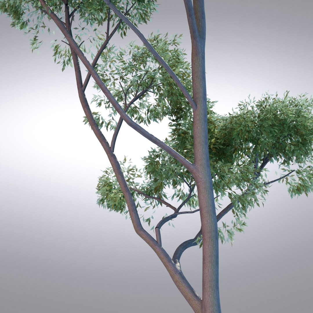 3d Model Hi Realistic Series Tree
