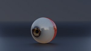 Realistic eye 3D model
