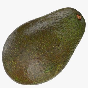 avocado hass 03 model