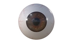 eye m studios 3D model