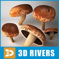 Portobella Mushroom by 3DRivers