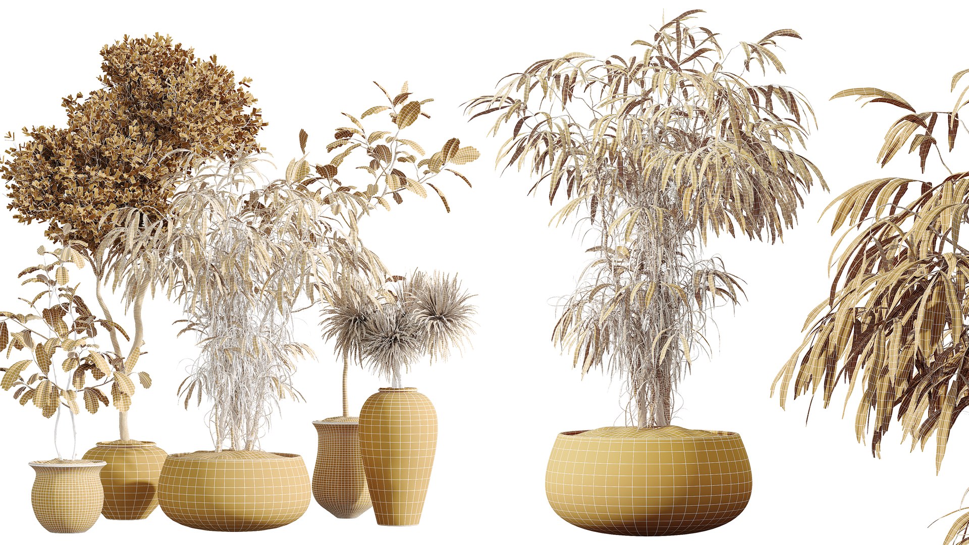 AV Indoor Plants Set 270 Japandi Ficus Dracaena Marginata and Yucca Aloifolia Rostrata and Olive 3D model https://p.turbosquid.com/ts-thumb/ge/ZkB1mH/il/07/png/1753249975/1920x1080/fit_q87/dd495b04bb7fe69e593ca7b0d33c42e100b5915d/07.jpg