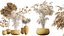 AV Indoor Plants Set 270 Japandi Ficus Dracaena Marginata and Yucca Aloifolia Rostrata and Olive