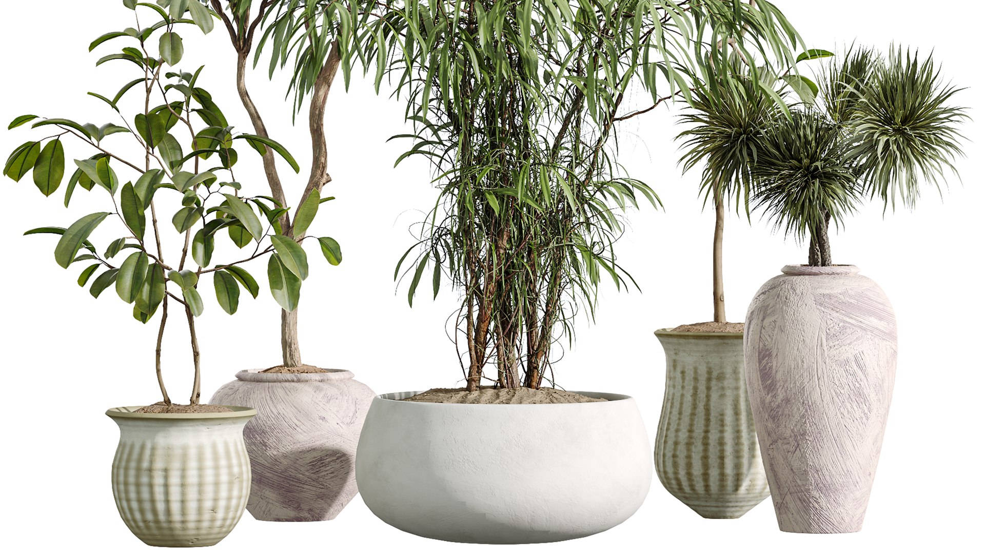 AV Indoor Plants Set 270 Japandi Ficus Dracaena Marginata and Yucca Aloifolia Rostrata and Olive 3D model https://p.turbosquid.com/ts-thumb/ge/ZkB1mH/vM/06/png/1753249973/1920x1080/fit_q87/355d0418e32c0d5df836adf920c413ad51502774/06.jpg