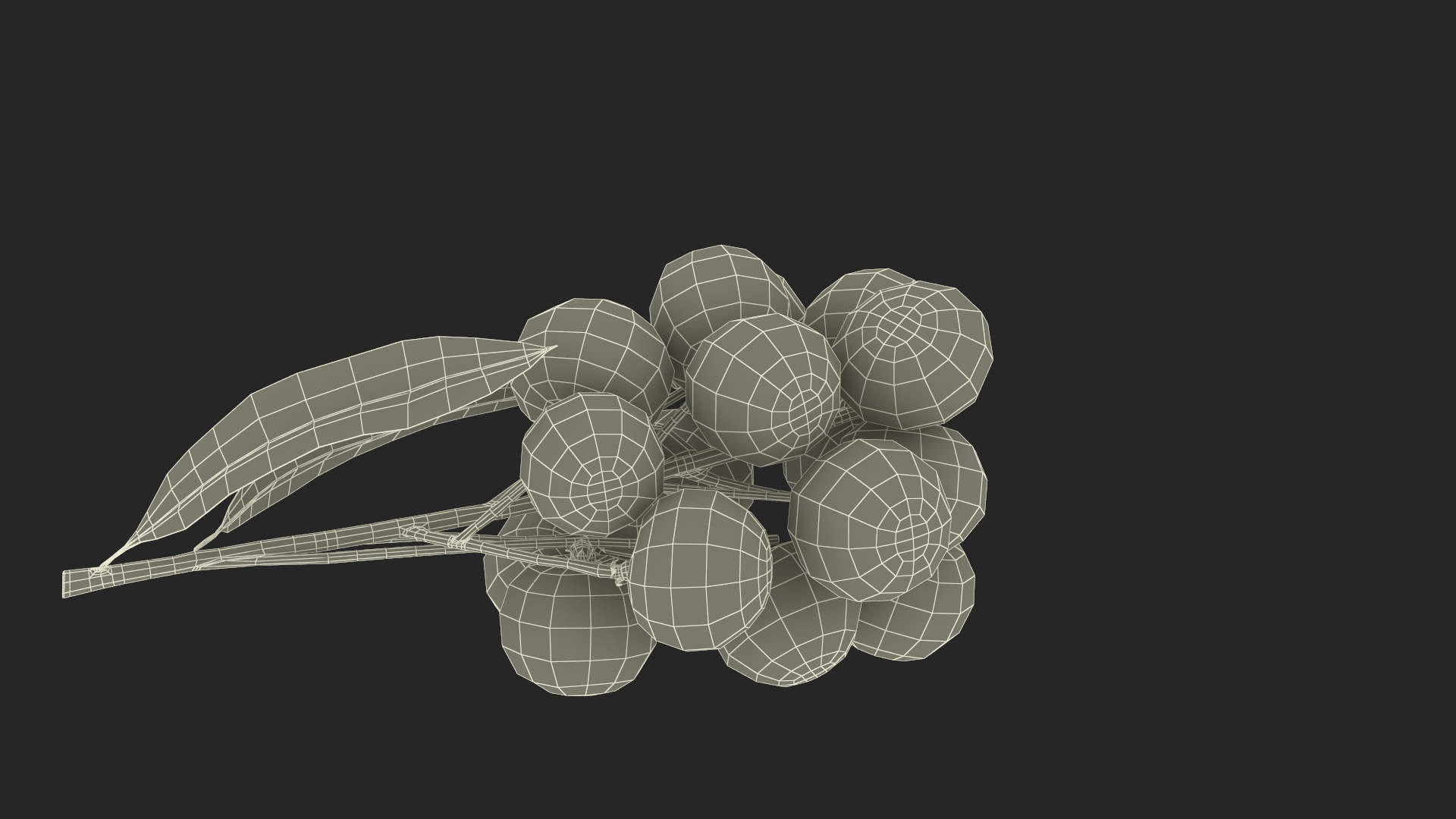 Longan Fruit Branch 3D Model - TurboSquid 2197292