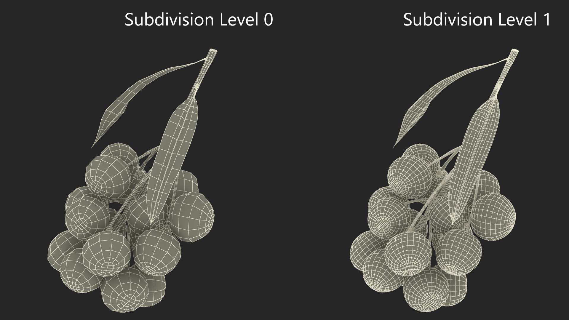 Longan Fruit Branch 3D Model - TurboSquid 2197292