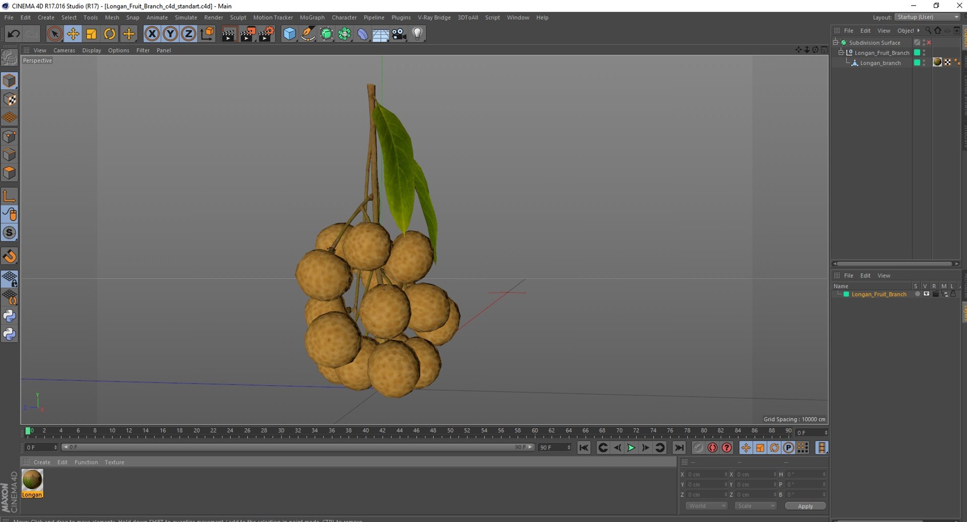 Longan Fruit Branch 3D Model - TurboSquid 2197292