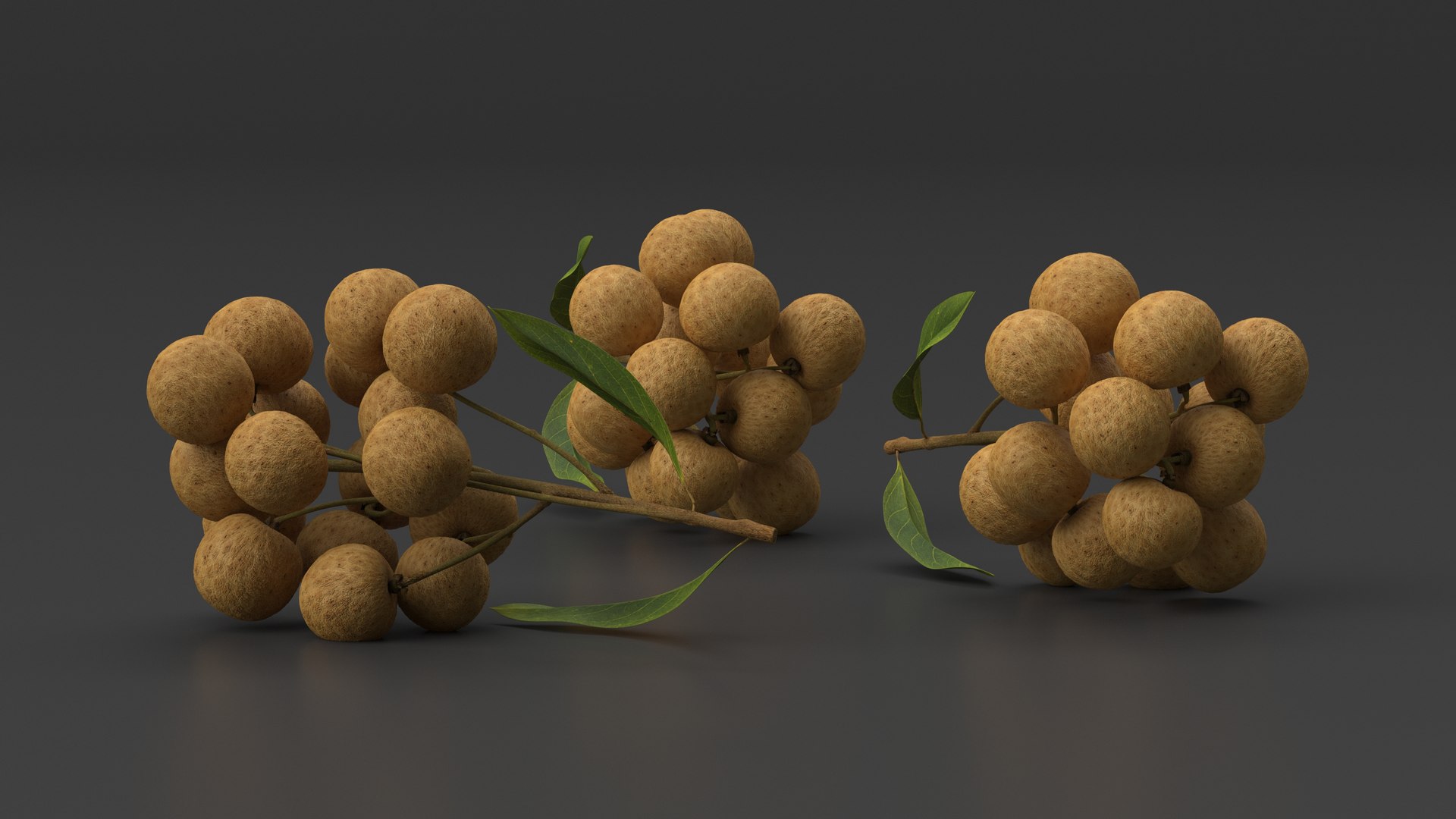 Longan Fruit Branch 3D Model - TurboSquid 2197292