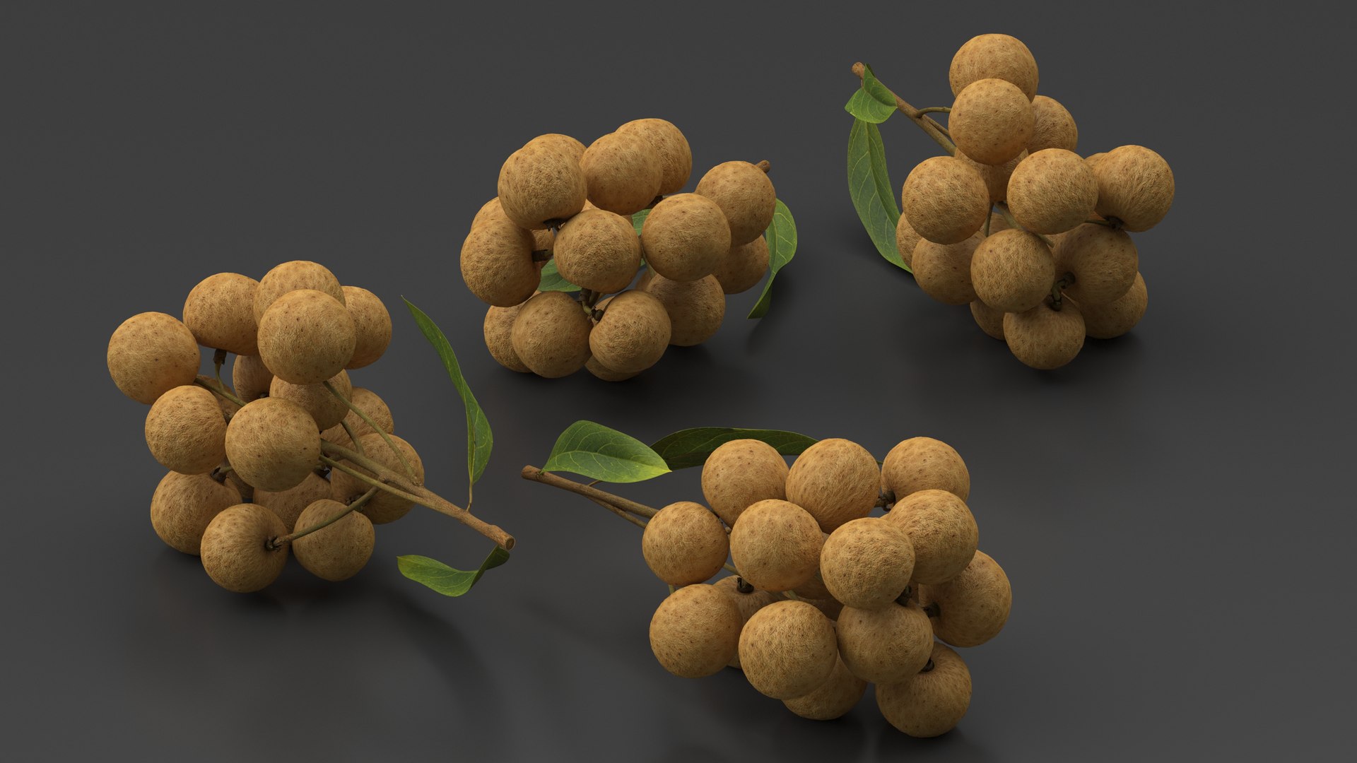 Longan Fruit Branch 3D Model - TurboSquid 2197292