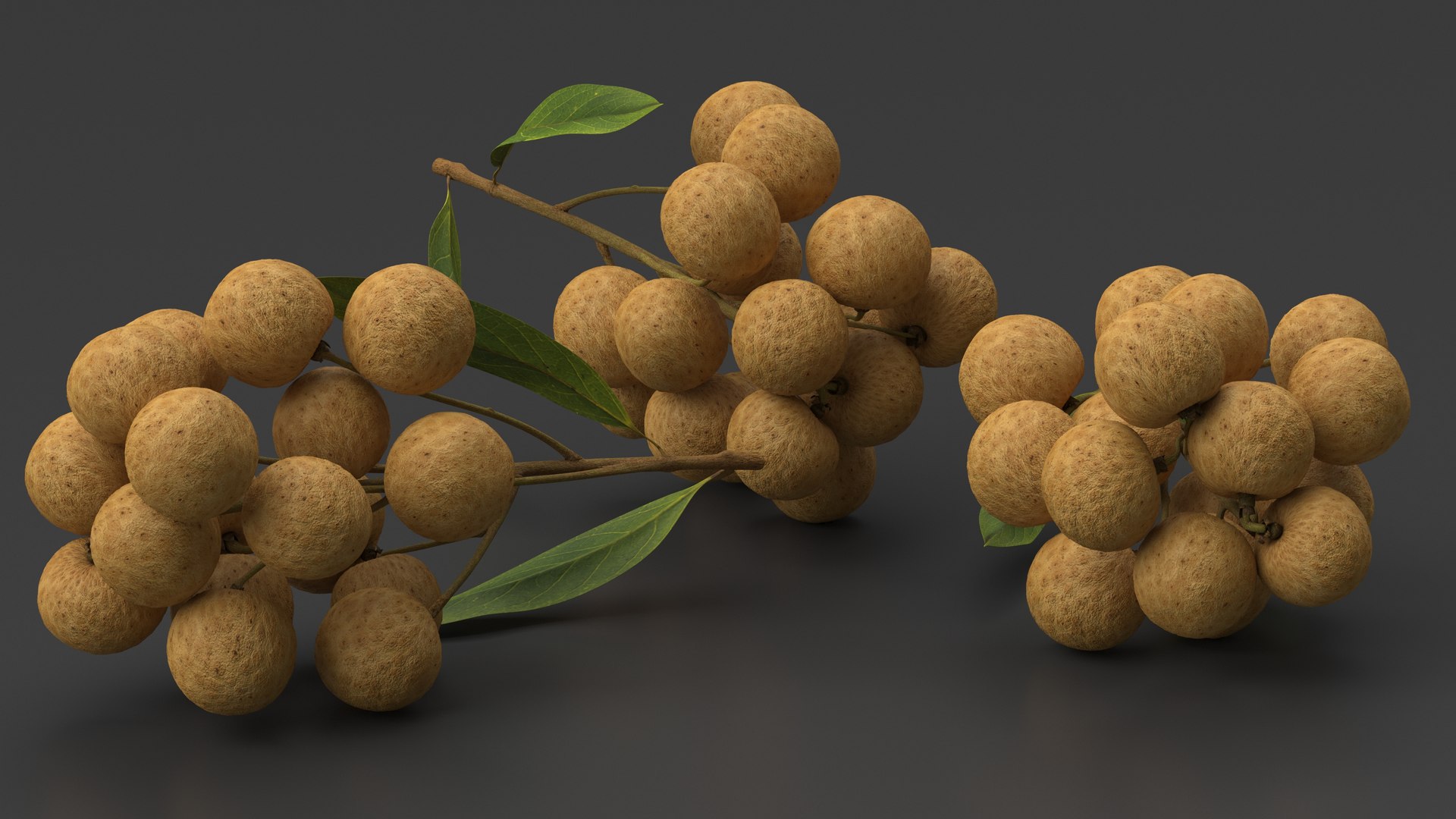 Longan Fruit Branch 3D Model - TurboSquid 2197292