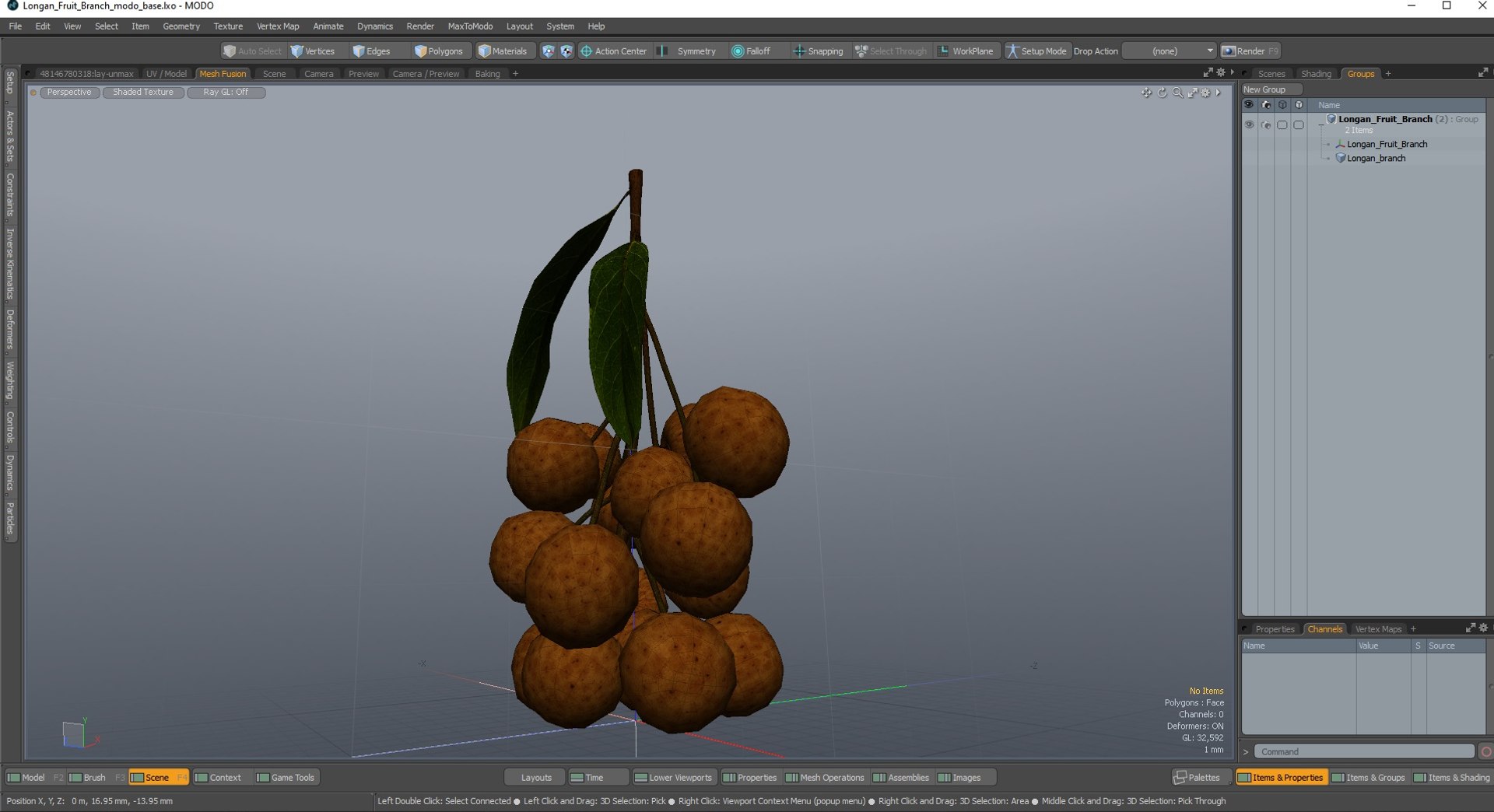 Longan Fruit Branch 3D Model - TurboSquid 2197292