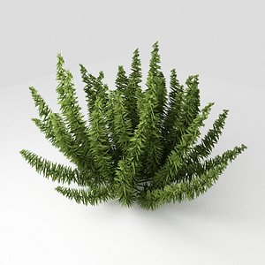 free max mode small plant exterior