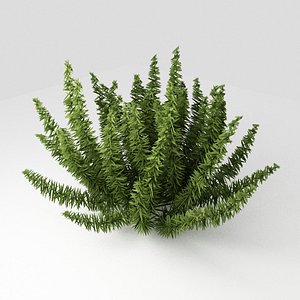 Plant for exterior