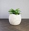 植物のひびの入った鍋の3Dモデル