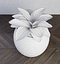 植物のひびの入った鍋の3Dモデル