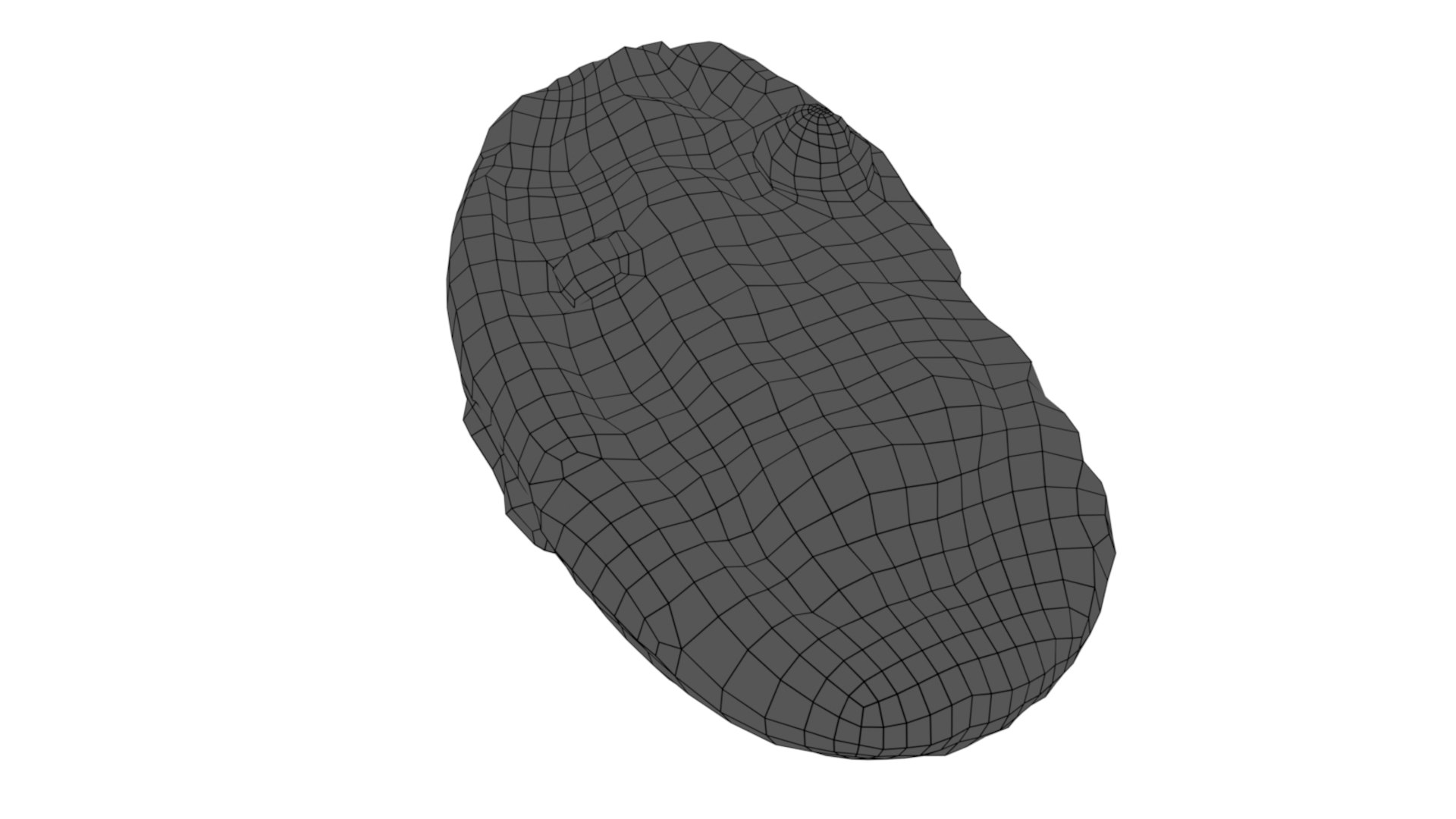 3D Photogrammetry Potato Skin Model - TurboSquid 1996020