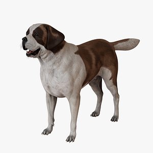 St Bernard 3D model