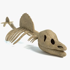 3d dinosaur skeleton