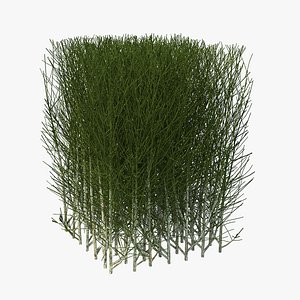 square bush 3D model
