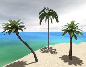 Palm Collection