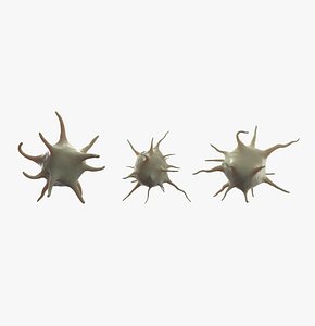 Platelet Thrombocyte Collection