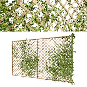 low poly 3d model of ivy climber on wood mesh wall 3D