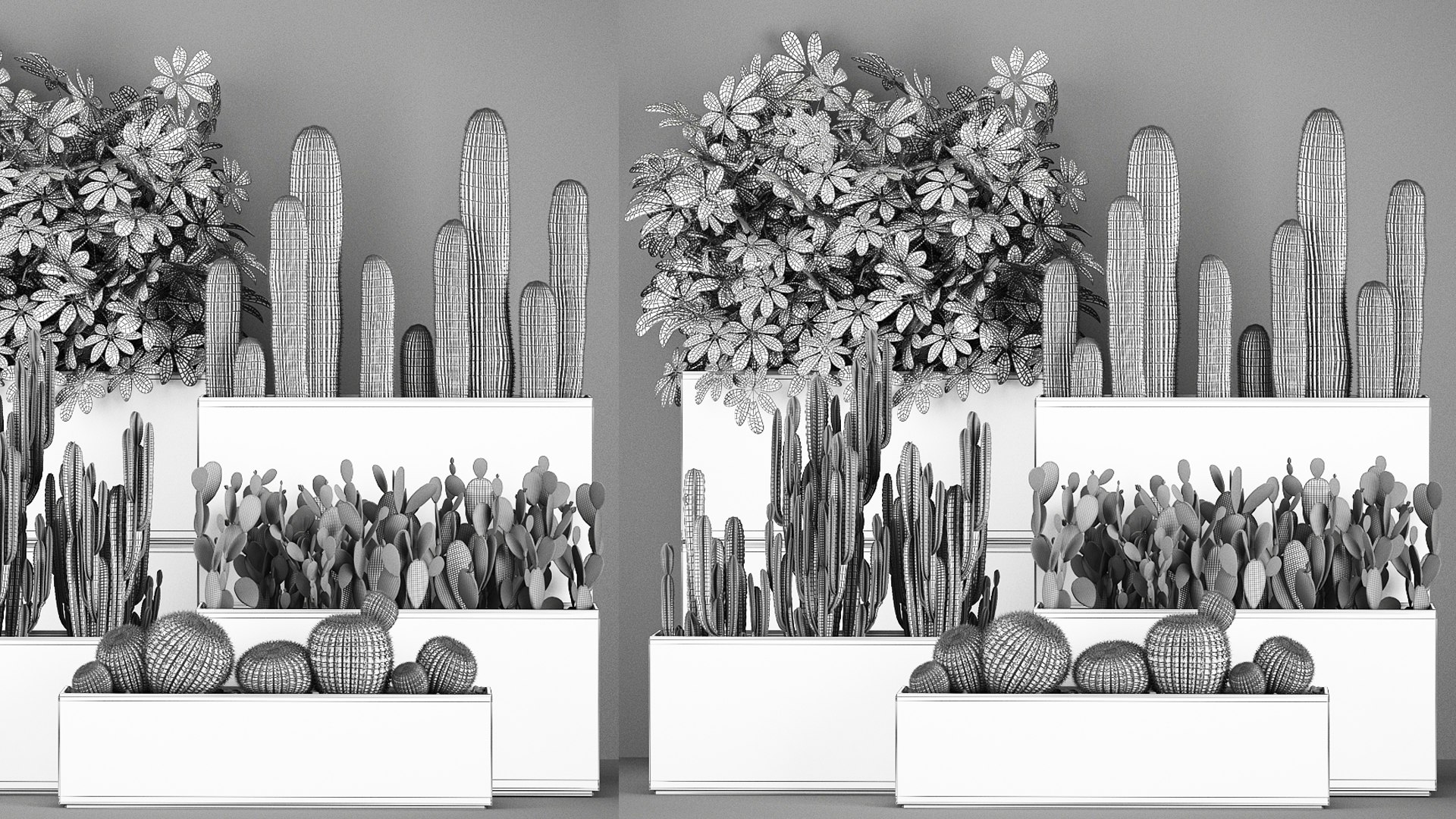 Decorative cactus in a black pot for the interior 1067 3D model https://p.turbosquid.com/ts-thumb/gf/PtFkYm/Tk/1cactusset1211202109/jpg/1636816611/1920x1080/fit_q87/e8d1882aa5219562c780b6cee6a6cebd7f4a2b81/1cactusset1211202109.jpg