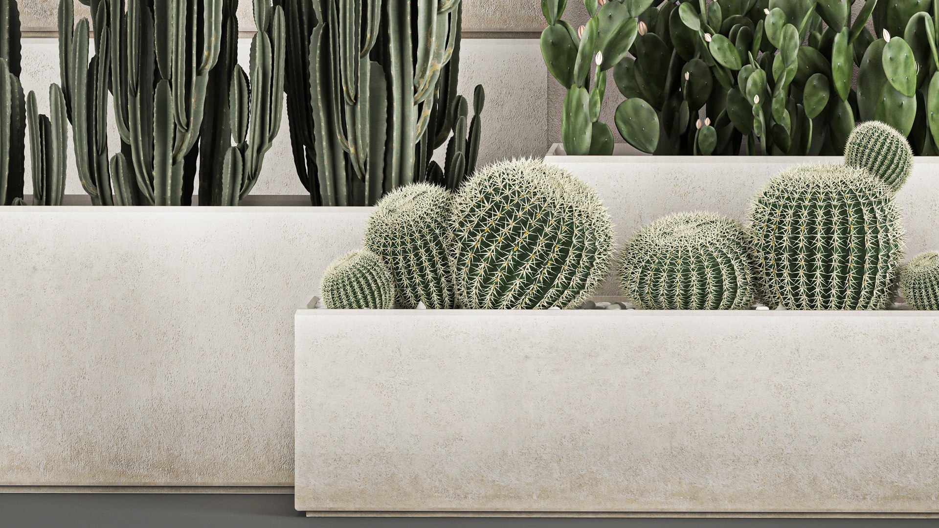 Decorative cactus in a black pot for the interior 1067 3D model https://p.turbosquid.com/ts-thumb/gf/PtFkYm/XO/1cactusset1211202105/jpg/1636816613/1920x1080/fit_q87/853a492e9133994bda483170779ef969322d20c6/1cactusset1211202105.jpg