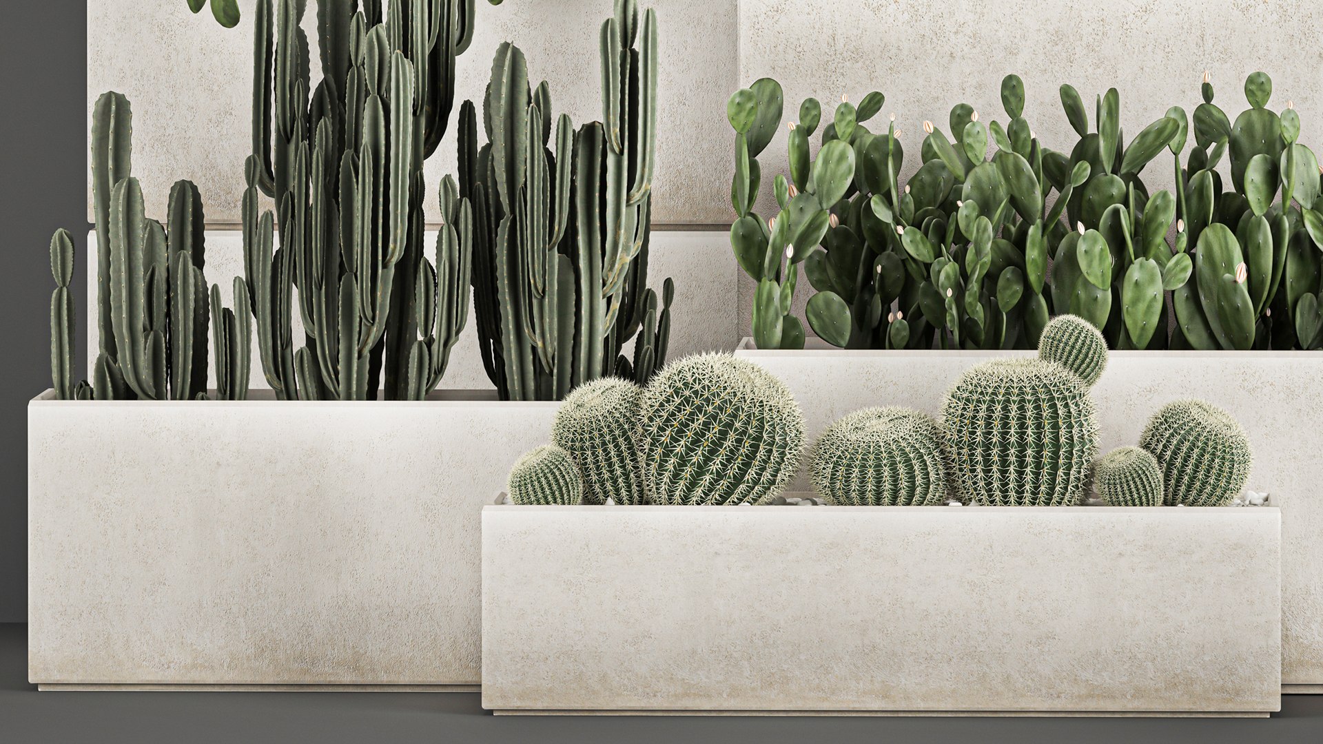 Decorative cactus in a black pot for the interior 1067 3D model https://p.turbosquid.com/ts-thumb/gf/PtFkYm/Xf/1cactusset1211202104/jpg/1636816610/1920x1080/fit_q87/f5b4b8f5598b1a3bca29063cb4f7de411168b98f/1cactusset1211202104.jpg