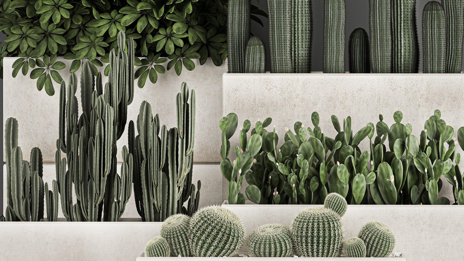 Decorative cactus in a black pot for the interior 1067 3D model https://p.turbosquid.com/ts-thumb/gf/PtFkYm/Xq/1cactusset1211202103/jpg/1636816609/1920x1080/fit_q87/93a6b8630e3d434e8e9d161b23d45c6835ced4bf/1cactusset1211202103.jpg