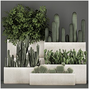 Decorative cactus in a black pot for the interior 1067 3D model