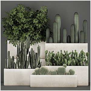 Decorative cactus in a black pot for the interior 1067