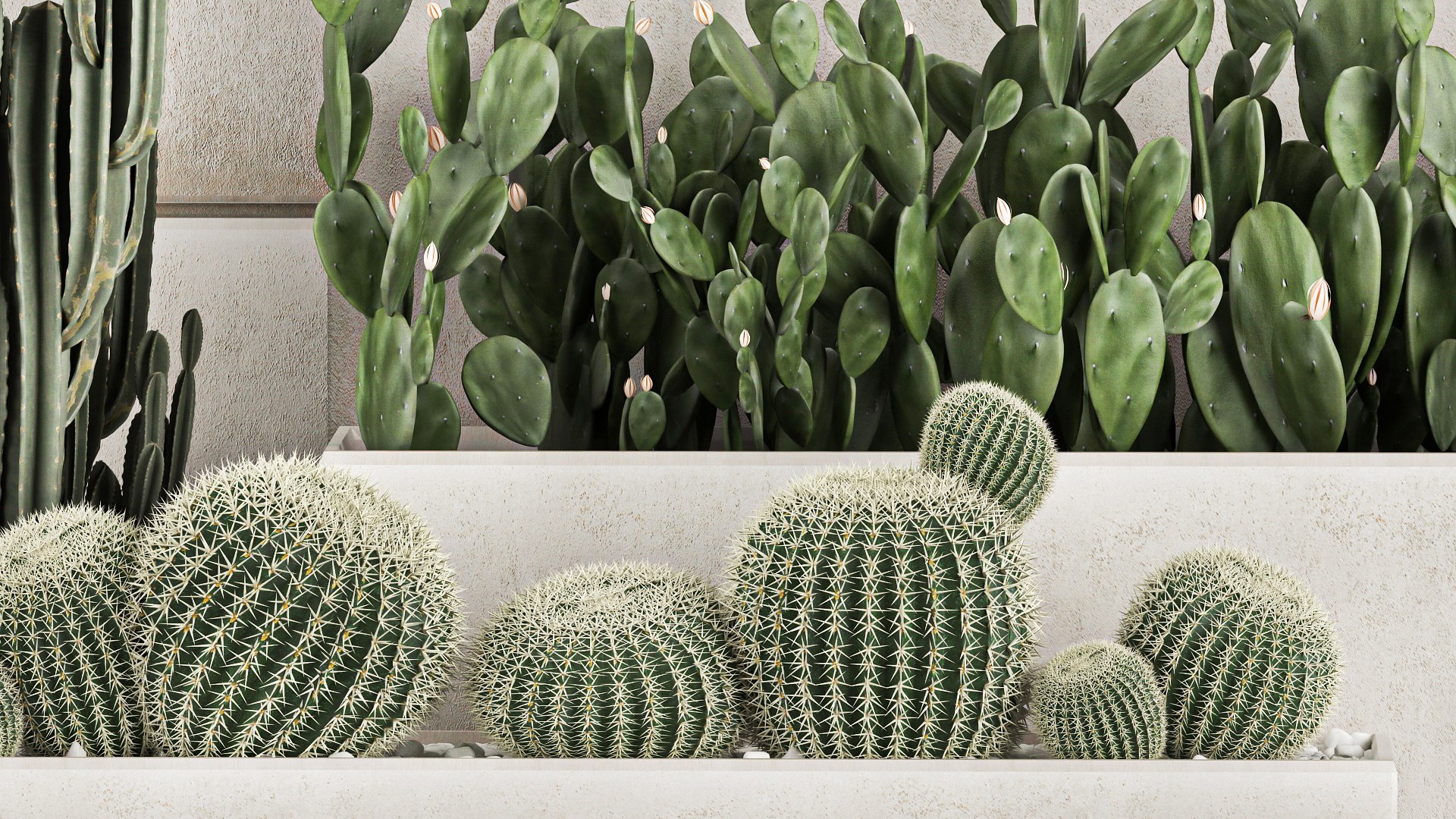 Decorative cactus in a black pot for the interior 1067 3D model https://p.turbosquid.com/ts-thumb/gf/PtFkYm/sl/1cactusset1211202106/jpg/1636816612/1920x1080/fit_q87/f0894d56dd7408f5ff740556fc4b112cc6321841/1cactusset1211202106.jpg