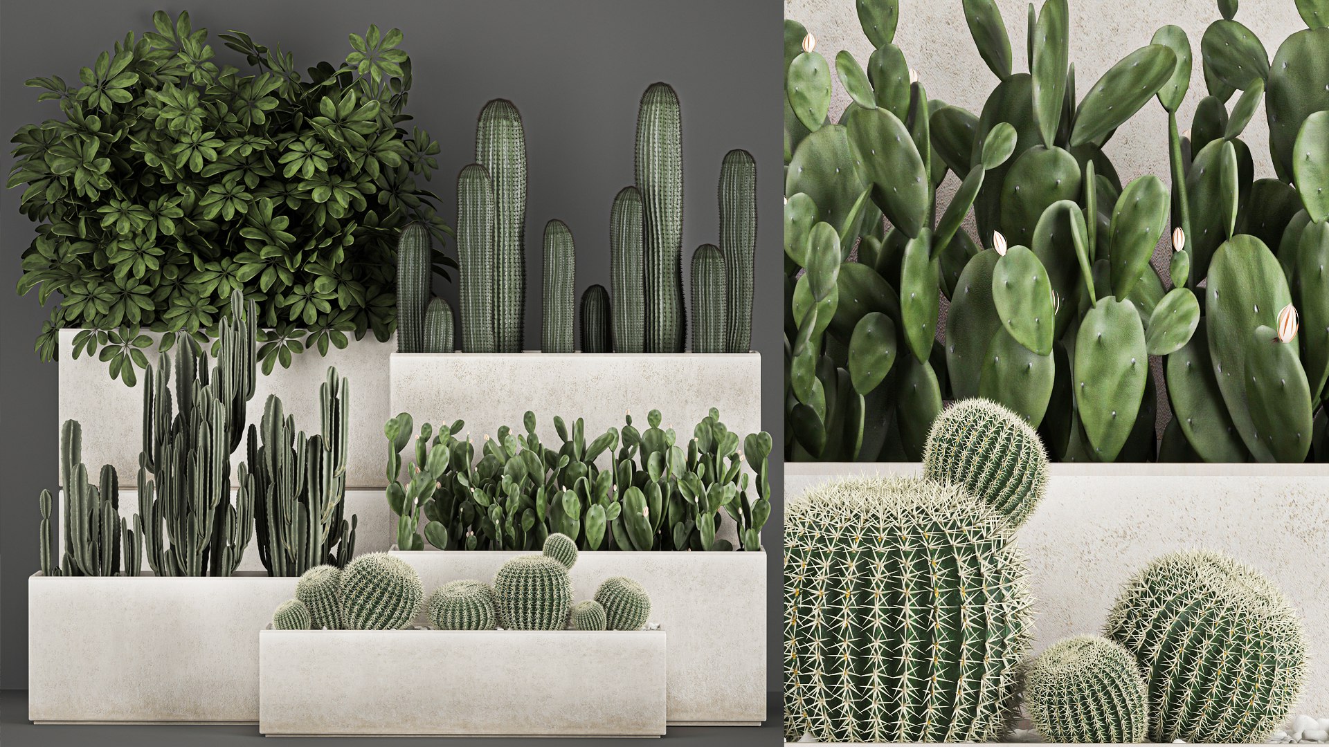 Decorative cactus in a black pot for the interior 1067 3D model https://p.turbosquid.com/ts-thumb/gf/PtFkYm/uL/1cactusset1211202102/jpg/1636816608/1920x1080/fit_q87/5be45dfc433d9c4ecc33563098fe28eba95253ae/1cactusset1211202102.jpg