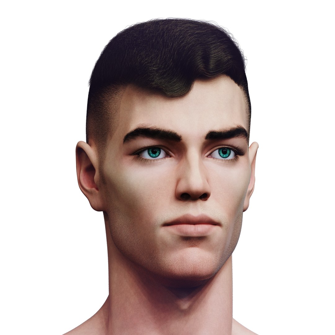 3D Slavic Realistic Male Head With 2 Hair-cuts Model - TurboSquid 2258889