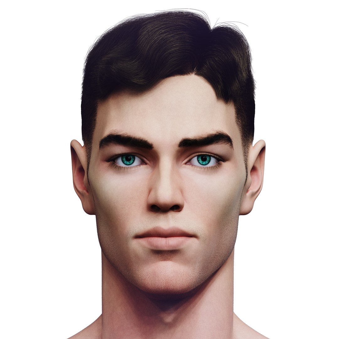 3D Slavic Realistic Male Head With 2 Hair-cuts Model - TurboSquid 2258889