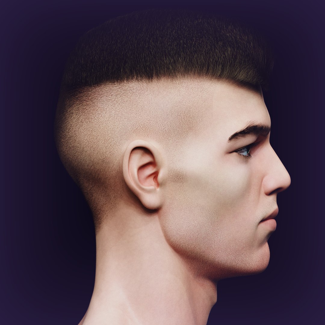 3D Slavic Realistic Male Head With 2 Hair-cuts Model - TurboSquid 2258889