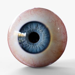 Realistic Human Eye with customizable colors