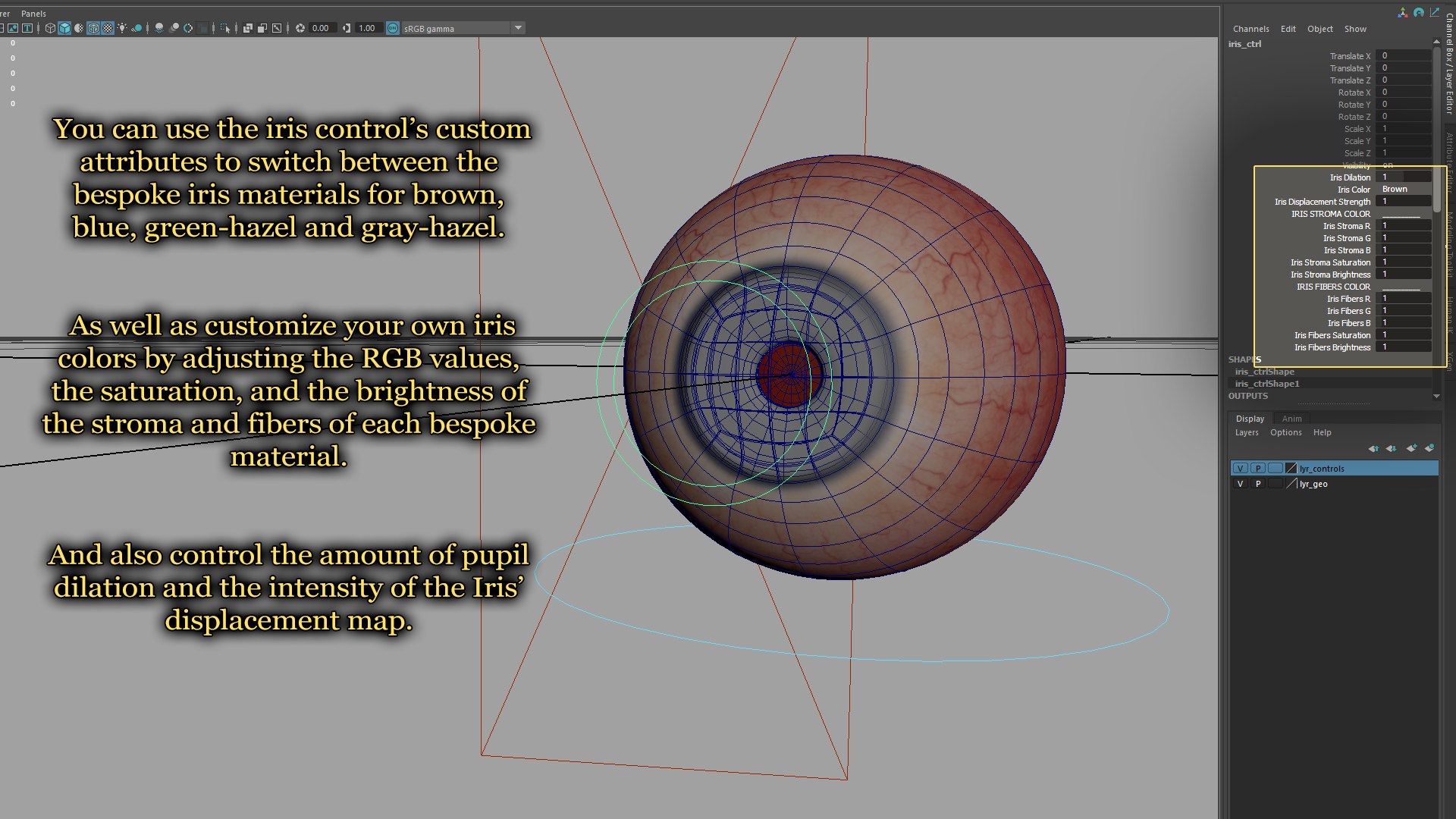 Realistic Human Eye With Customizable Colors 3D Model - TurboSquid 2170887