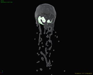 Goo Drips