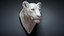 lioness animal head sculpture model