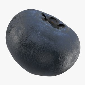 3D blueberry realistic model