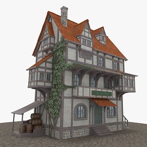 Medieval House