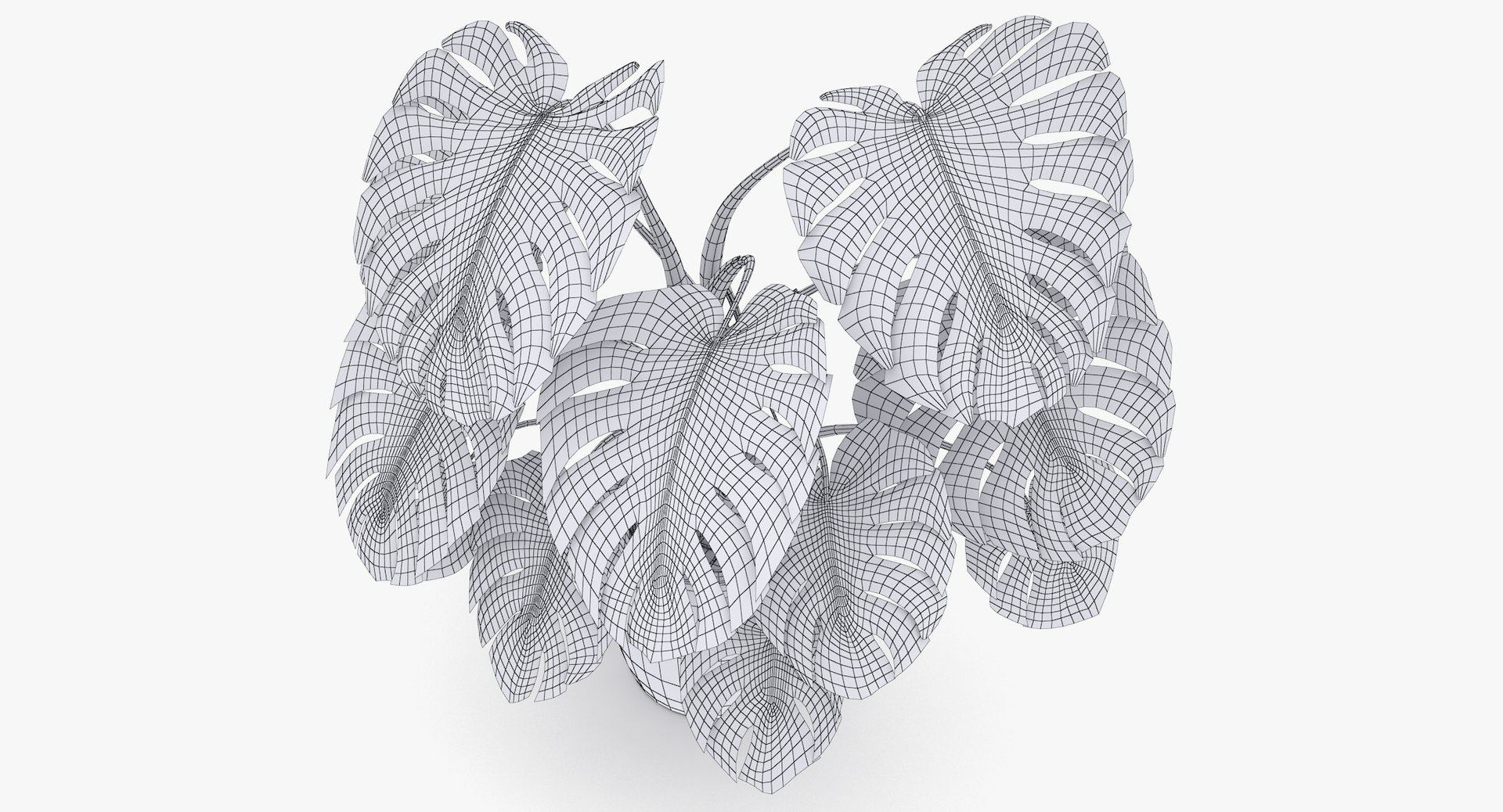 3D monster deliciosa model https://p.turbosquid.com/ts-thumb/gg/jD52TL/EoYmOJUJ/monstera_deliciosa_042_wireframe/jpg/1507418959/1920x1080/fit_q87/f882ca992e71b1f759fa80dddddc297a2cc50087/monstera_deliciosa_042_wireframe.jpg