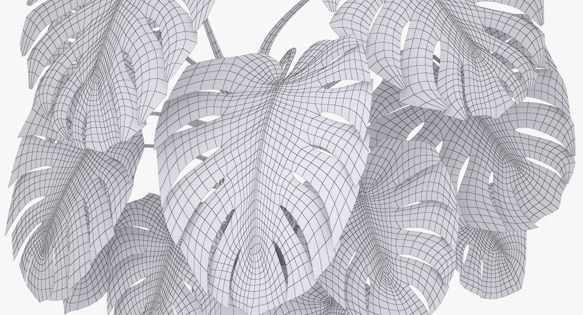 3D monster deliciosa model https://p.turbosquid.com/ts-thumb/gg/jD52TL/IcG3pmmH/monstera_deliciosa_052_wireframe/jpg/1507418959/1920x1080/fit_q87/607889e8be1a6dd9356becea5e804123fa0ec14f/monstera_deliciosa_052_wireframe.jpg